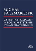 Czynnik sp... - Michał Kaczmarczyk - Ksiegarnia w UK
