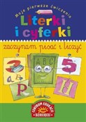 Literki i ... - Marta Kotecka -  Polish Bookstore 
