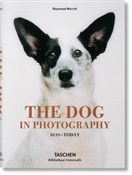 Polska książka : The Dog in... - Raymond Merritt