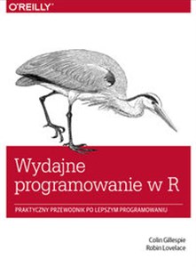Picture of Wydajne programowanie w R Praktyczny przewodnik po lepszym programowaniu