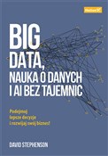 Big data, ... - David Stephenson -  foreign books in polish 