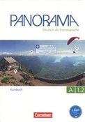 Polska książka : Panorama A... - Andrea Finster, Friederike Jin, Verena Paar-Grunbichler