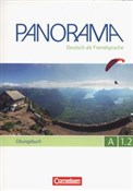 Panorama A... - Andrea Finster, Friederike Jin, Verena Paar-Grunbichler -  books from Poland