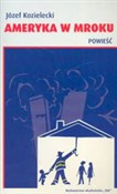 Ameryka w ... - Józef Kozielecki -  books in polish 