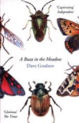 A Buzz in ... - Dave Goulson -  books from Poland