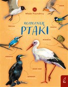 polish book : Młodzi prz... - Patrycja Zarawska