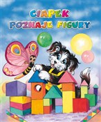 polish book : Ciapek poz... - Jolanta Adamus-Ludwikowska (ilustr.)