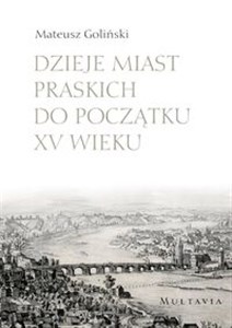 Picture of Dzieje miast praskich do początku XV wieku