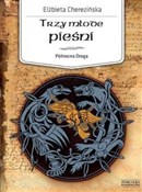 Północna D... - Elżbieta Cherezińska -  foreign books in polish 