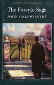 The Forsyt... - John Galsworthy -  Polish Bookstore 