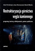 Restruktur... - Anna Fornalczyk, Jerzy Choroszczak, Marek Mikulec -  books in polish 