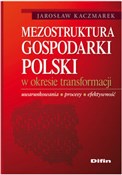 Mezostrukt... - Jarosław Kaczmarek -  foreign books in polish 