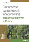 polish book : Ekonomiczn... - Beata Pater
