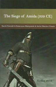 Picture of The Siege of Amida (359 CE)