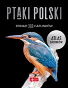 Polska książka : Ptaki Pols... - Anna Przybyłowicz, Łukasz Przybyłowicz, Radosław Włodarczyk