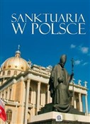 Sanktuaria... - Koryna Dylewska -  books in polish 