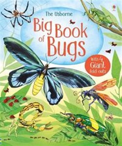 Picture of Big Book of Bugs