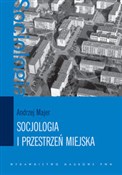 Socjologia... - Andrzej Majer -  books from Poland