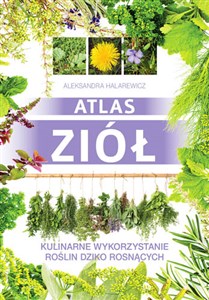 Picture of Atlas ziół Kulinarne wykorzystanie roślin dziko rosnących