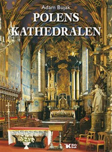 Picture of Polens Kathedralen