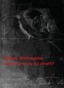 Picture of Jeszcze żywi czy już zmarli? Dziewiętnastowieczne dokumentacje emigracyjnego umierania