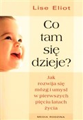 Co tam się... - Lise Eliot -  books from Poland