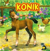 polish book : Konik - Marek Szal (ilustr.), Katarzyna Campbell