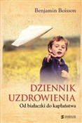 Dziennik u... - Boisson Benjamin -  books from Poland