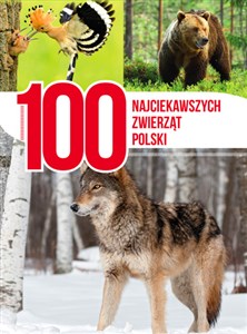 Picture of 100 najciekawszych zwierząt Polski