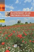 polish book : Ilustrowan... - Renata Krzyściak-Kosińska, Marek Kosiński, Anna Przybyłowicz