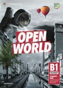 Książka : Open World... - Lisa Darrond