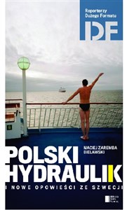 Picture of Polski hydraulik i inne opowieści ze Szwecji