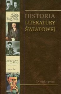 Picture of Historia Literatury Światowej tom 10 XX wiek - proza