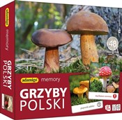 Książka : Gra memory...