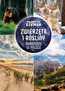 Picture of Planeta Ziemia Zwierzęta i rośliny chronione w Polsce