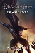 Dragon Age... - David Gaider -  books from Poland