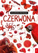 Polska książka : Młodzi prz... - Patrycja Zarawska