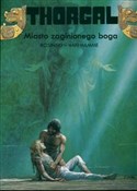 Thorgal Mi... - Grzegorz Rosiński, Jean Hamme -  books in polish 