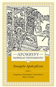 Apokryfy N... - Marek Starowieyski -  foreign books in polish 