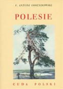 polish book : Polesie Cu... - Antoni Ferdynand Ossendowski