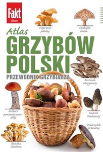 Obrazek Atlas grzybów Polski