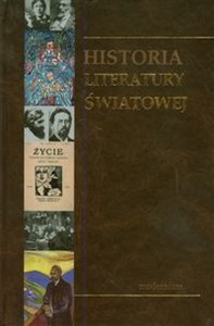 Picture of Historia Literatury Światowej tom 6 modernizm