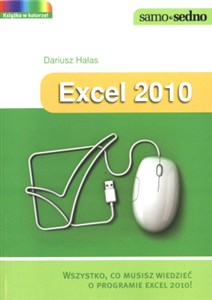 Picture of Excel 2010