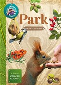 Park - Tomasz Hryniewicki -  books from Poland
