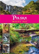 Polska wok... - Joanna Wilder -  Polish Bookstore 