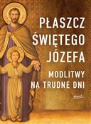 Płaszcz Św... - Tarcisio Stramare, Giuseppe Brioschi -  foreign books in polish 