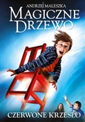 Magiczne D... - Andrzej Maleszka -  books from Poland
