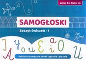 Polska książka : Samogłoski... - Agnieszka Bala