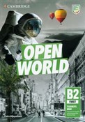 polish book : Open World... - Claire Wijayatilake