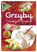 Grzyby nas... - Grażyna Maternicka -  Polish Bookstore 